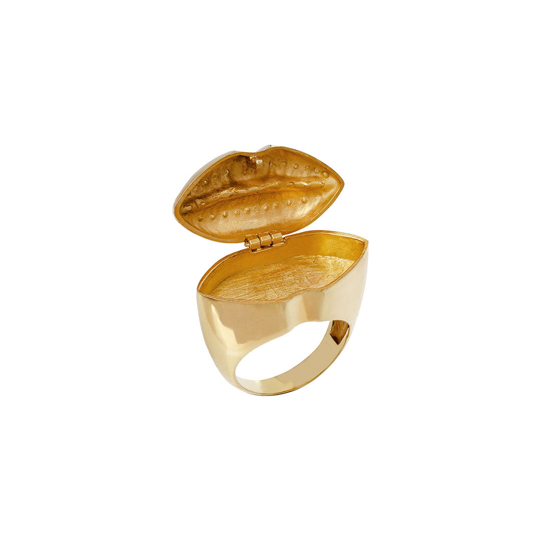 Anel chevalier de com compartimento secreto em prata 925 e banho de ouro 18k