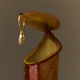 Brinco Argola Petit Cora Ouro 18k
