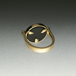 PAOLA-VILAS-ANEL-ZODIACO-PRATA-BANHO-OURO-18K