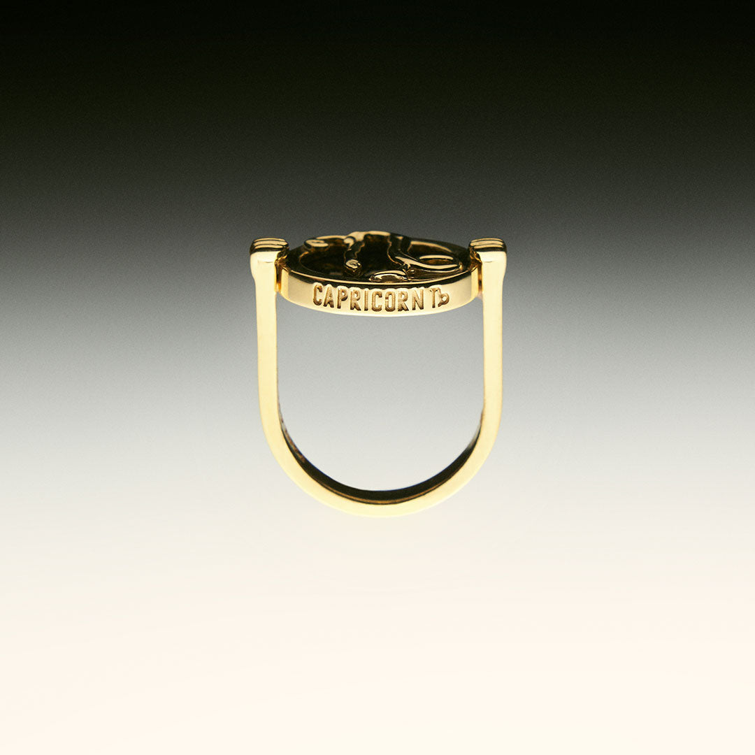 PAOLA-VILAS-ANEL-ZODIACO-PRATA-BANHO-OURO-18K