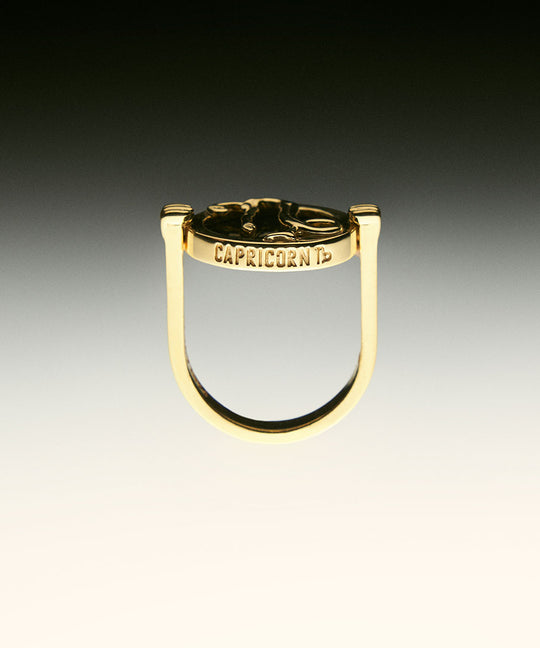 PAOLA-VILAS-ANEL-ZODIACO-PRATA-BANHO-OURO-18K