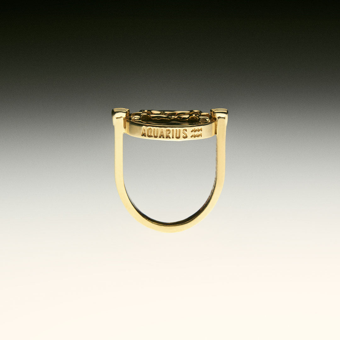 PAOLA-VILAS-ANEL-ZODIACO-PRATA-BANHO-OURO-18K