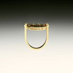 PAOLA-VILAS-ANEL-ZODIACO-PRATA-BANHO-OURO-18K