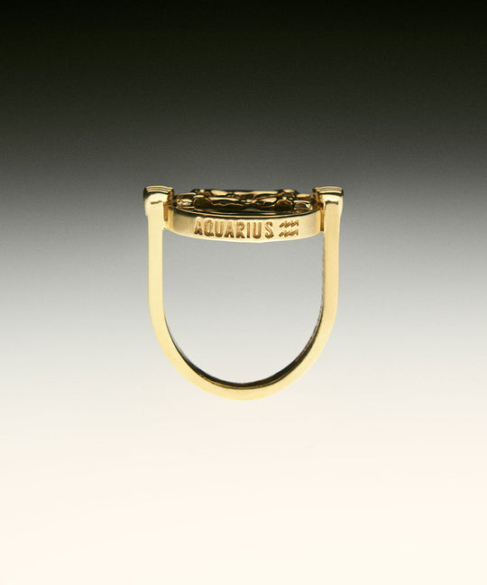 PAOLA-VILAS-ANEL-ZODIACO-PRATA-BANHO-OURO-18K
