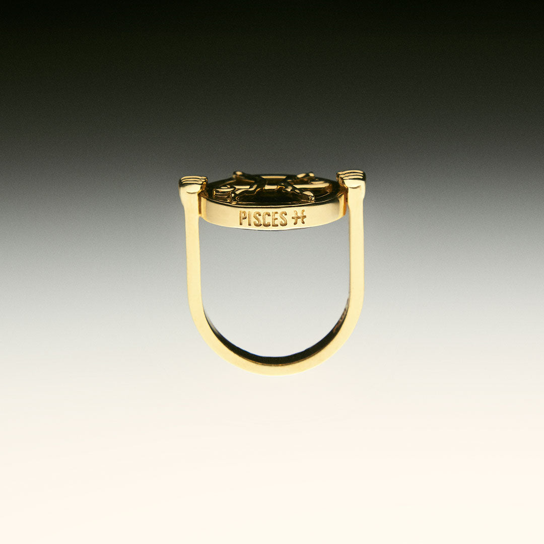PAOLA-VILAS-ANEL-ZODIACO-PRATA-BANHO-OURO-18K