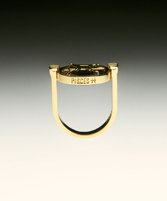 PAOLA-VILAS-ANEL-ZODIACO-PRATA-BANHO-OURO-18K