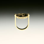 PAOLA-VILAS-ANEL-ZODIACO-PRATA-BANHO-OURO-18K-SAGITARIO