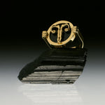 PAOLA-VILAS-ANEL-ZODIACO-PRATA-OURO