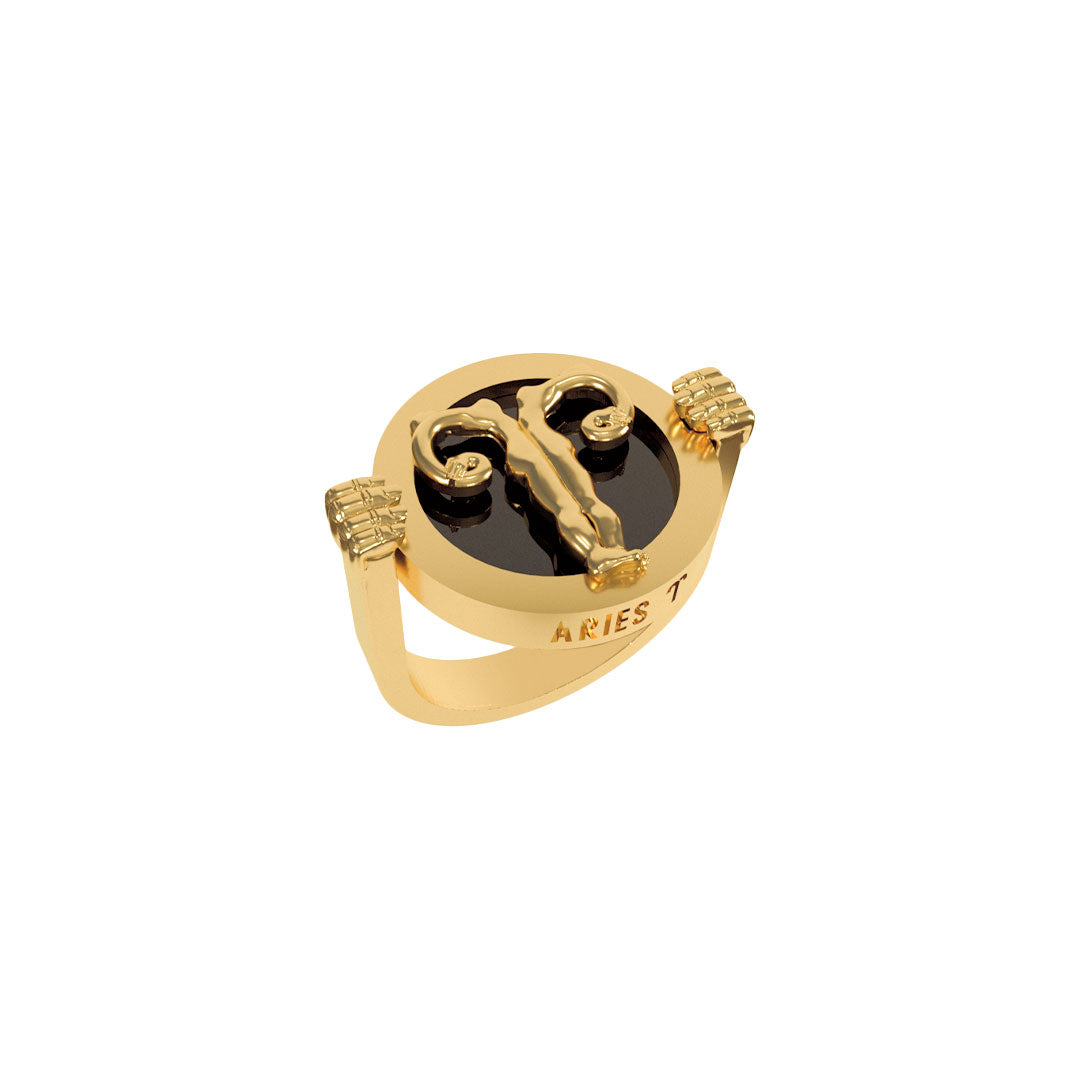 PAOLA-VILAS-ANEL-ZODIACO-PRATA-OURO