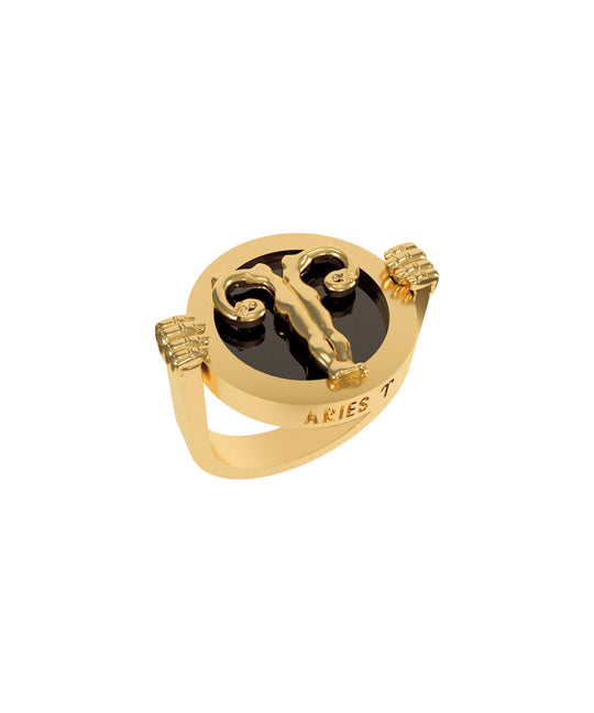 PAOLA-VILAS-ANEL-ZODIACO-PRATA-OURO
