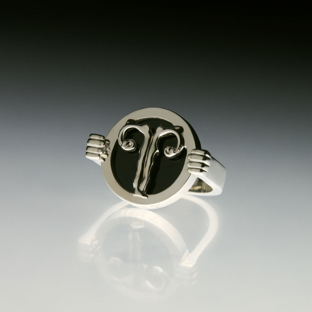 PAOLA-VILAS-ANEL-ZODIACO-PRATA-OURO