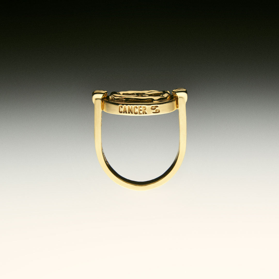 PAOLA-VILAS-ANEL-ZODIACO-PRATA-OURO-CANCER-CORPOS-JOIAS-FEMININAS-PRATA-BANHO-18K-