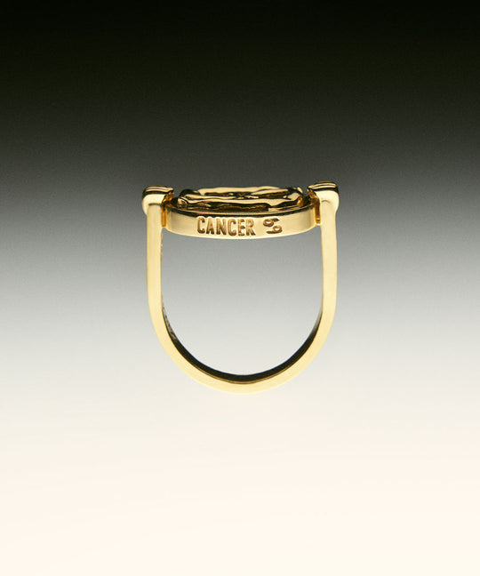 PAOLA-VILAS-ANEL-ZODIACO-PRATA-OURO-CANCER-CORPOS-JOIAS-FEMININAS-PRATA-BANHO-18K-