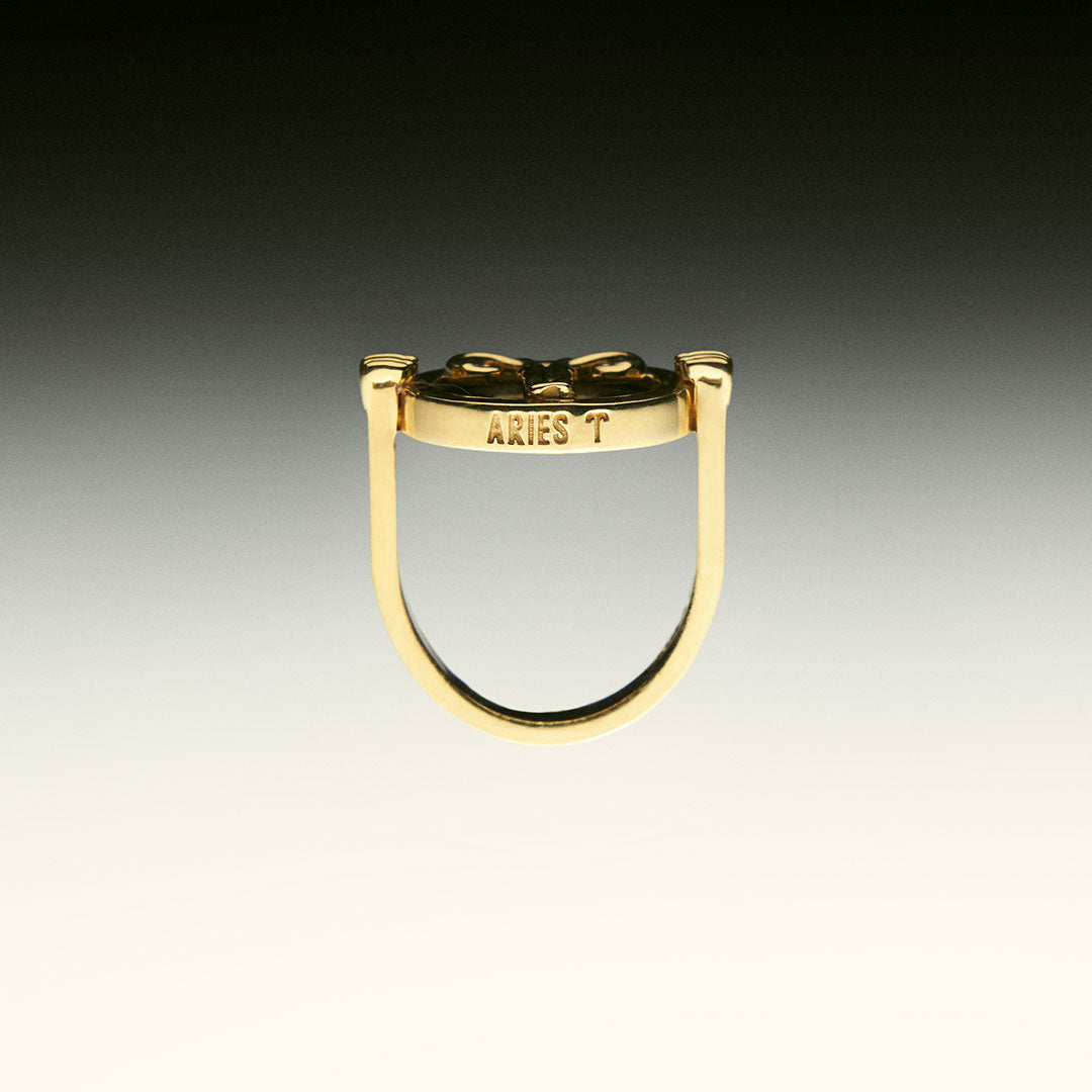 PAOLA-VILAS-ANEL-ZODIACO-PRATA-OURO