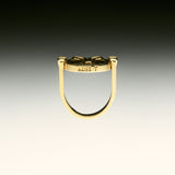 PAOLA-VILAS-ANEL-ZODIACO-PRATA-OURO