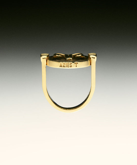PAOLA-VILAS-ANEL-ZODIACO-PRATA-OURO