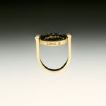 PAOLA-VILAS-ANEL-ZODIACO-PRATA-OURO