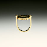 PAOLA-VILAS-ANEL-ZODIACO-PRATA-OURO