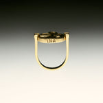 PAOLA-VILAS-ANEL-ZODIACO-PRATA-OURO-LEAO-CORPOS-JOIAS-FEMININAS-PRATA-BANHO-18K-