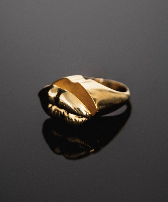 Anel chevalier em prata 925 com banho de ouro 18k de boca