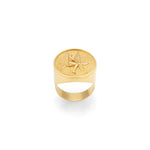 Anel chevalier em prata 925 com banho de ouro 18k de peixe voador