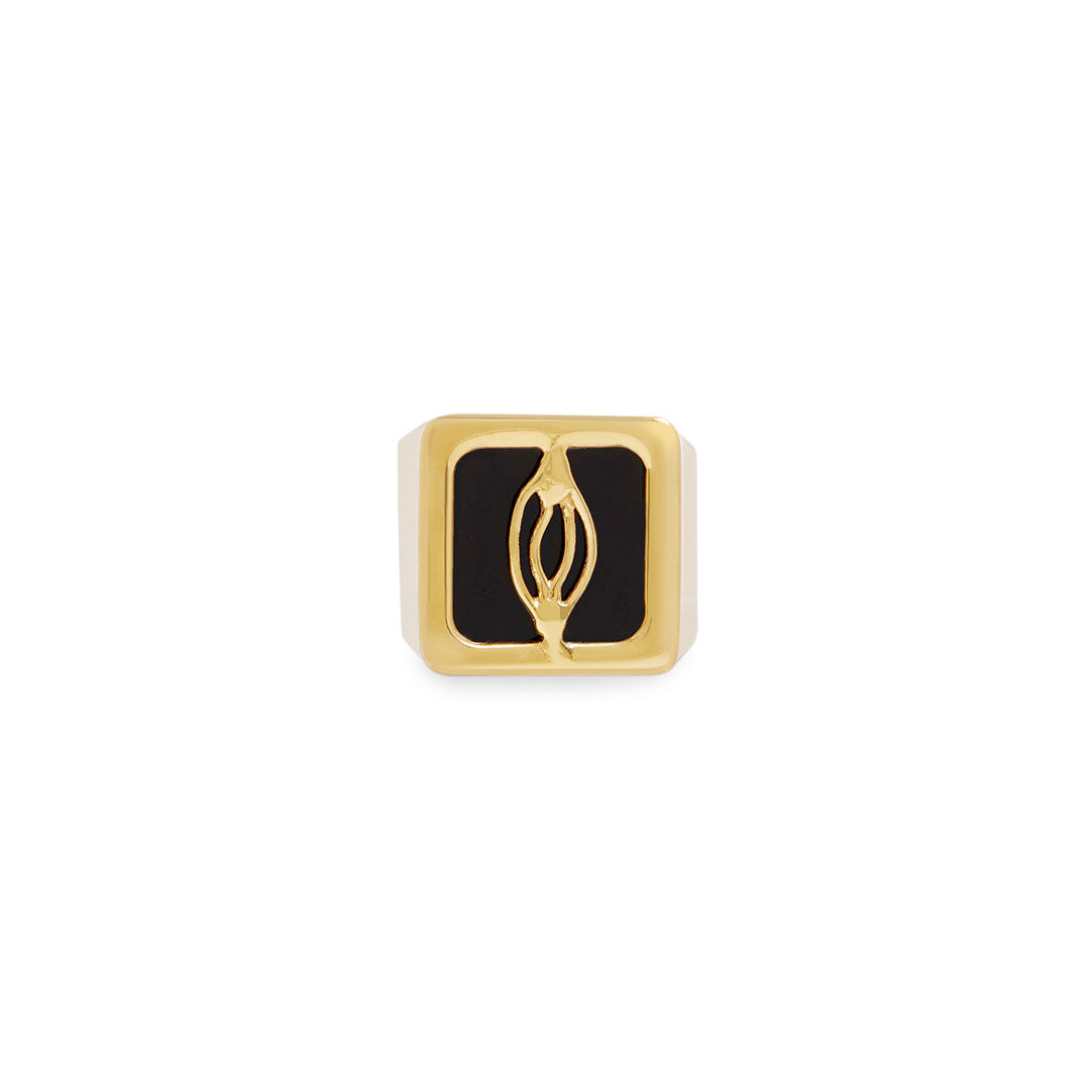 Anel chevalier Paola Vilas em prata 925 com banho de ouro 18k de vulva minimalista