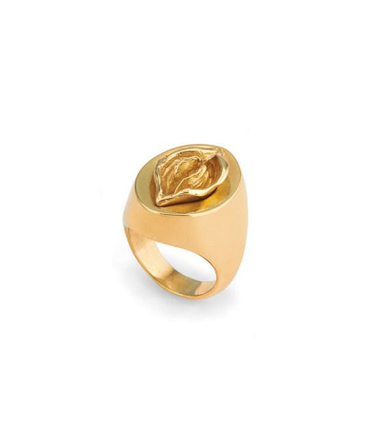 Anel em prata 925 com banho de ouro 18k de uma vulva abstrata