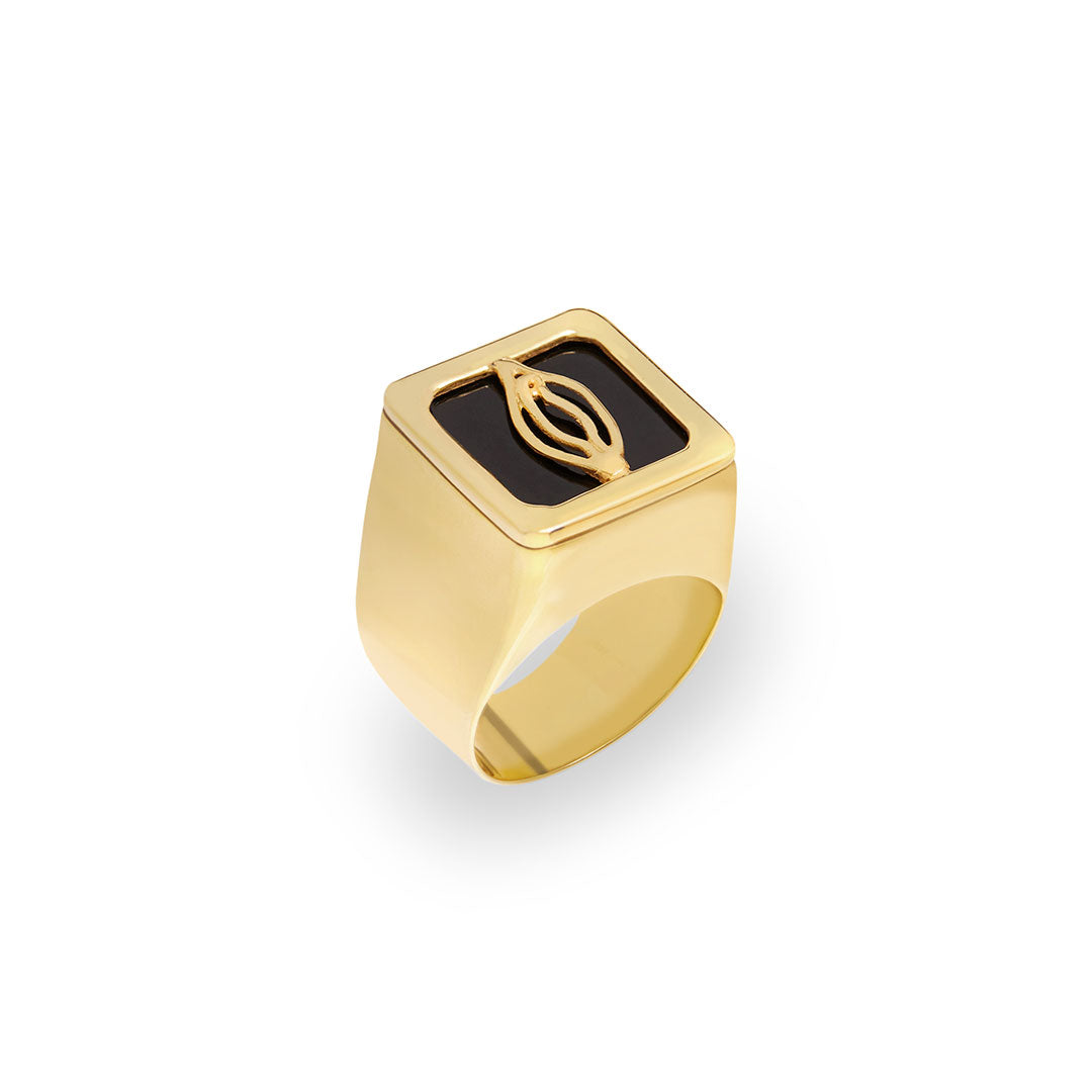 Anel chevalier em prata 925 com banho de ouro 18k de vulva minimalista
